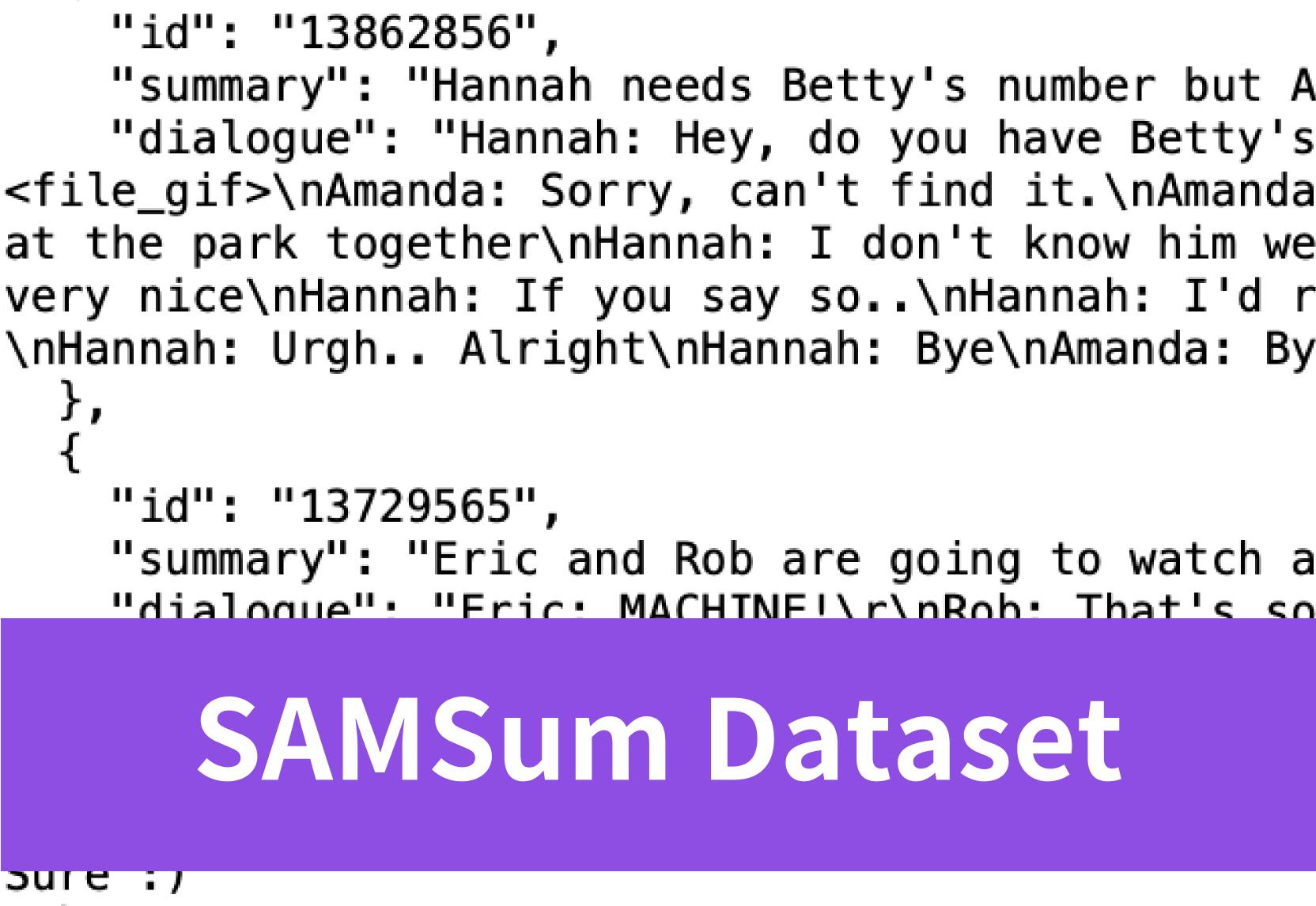 All You Need to Know about SAMSum Dataset