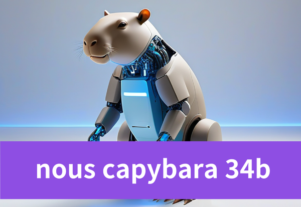 Unveiling Nous Capybara 34B and Other Models by NousResearch