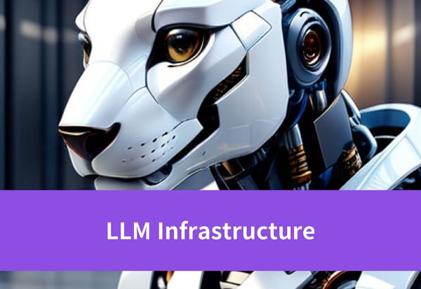 Building Strong LLM Infrastructure for Efficiency